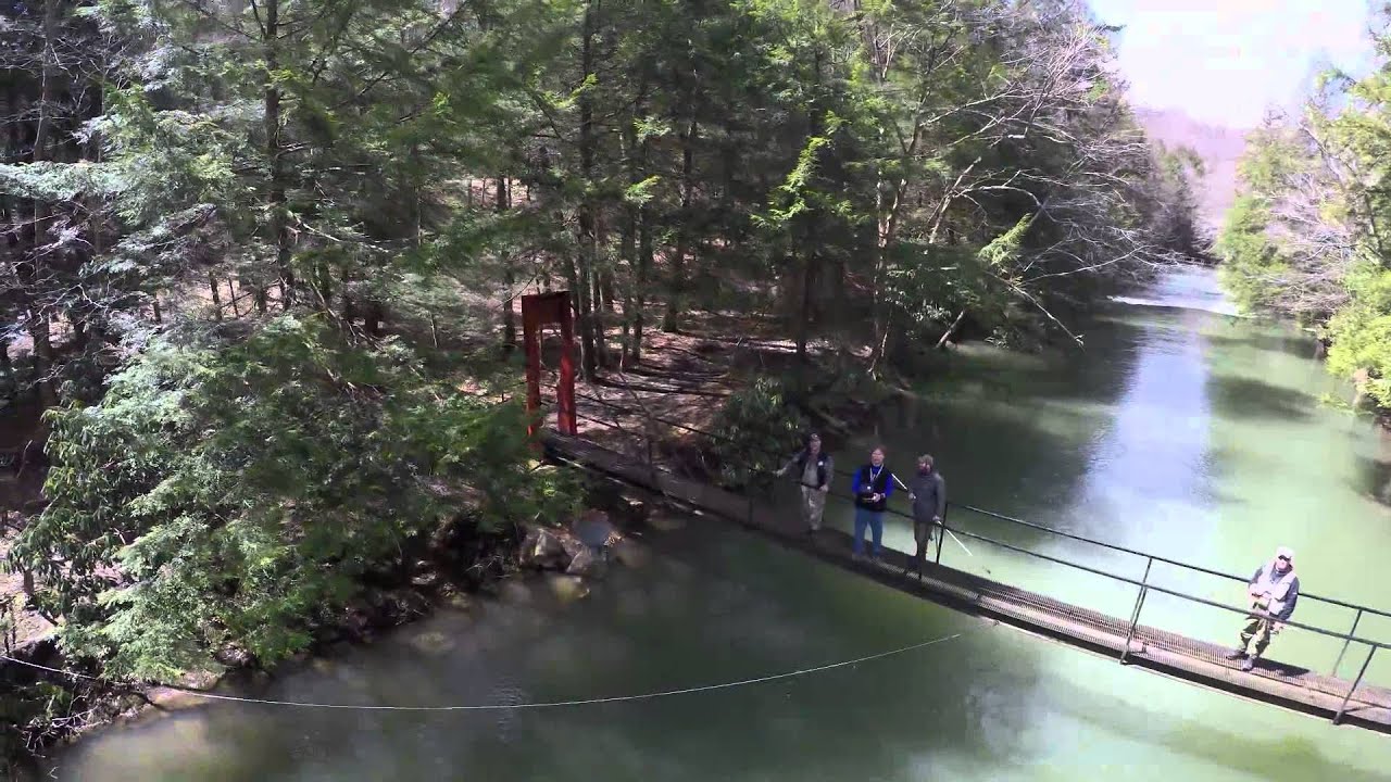 Yellow Creek Trout Club, Inc. YouTube