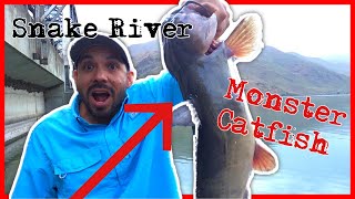 Snake River [Episode 2] I caught a MONSTER Catfish!!