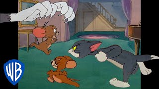 Tom y Jerry en Español  | Las mejores escenas de persecución entre Tom y Jerry  | @WBKidsEspana