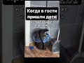 Жиза кота #shorts #тренды #недвижимость  #юмор #tiktok #гусариха #животные