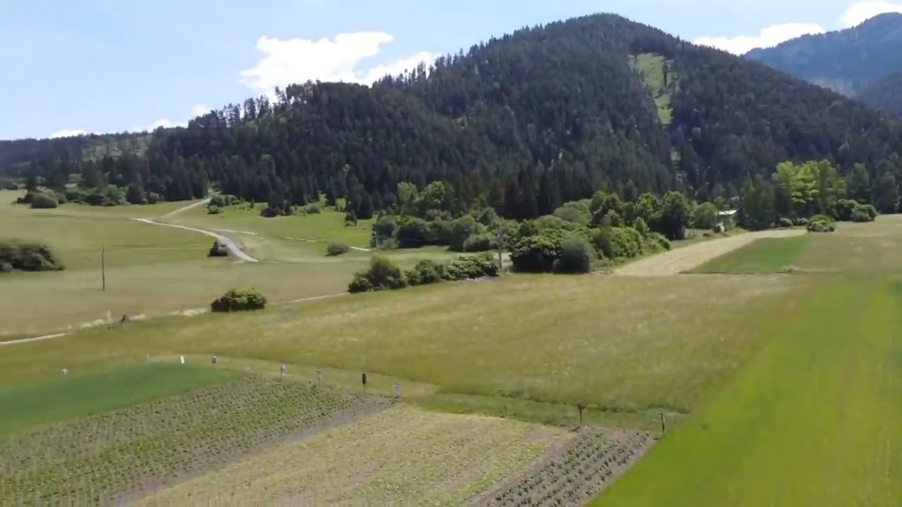 Pozemok v obci Lazisko na Liptove - Ing. Ján Psotný DIRECTREAL LMCity