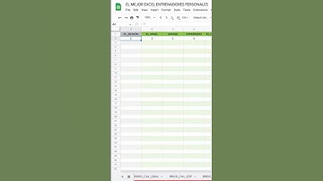 EL MEJOR EXCEL PARA ENTRENADORES PERSONALES - PARTE 3