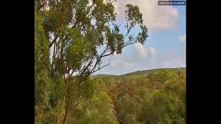 BushFire.ai Live fire event for 103