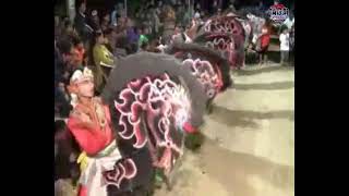 Download Lagu Samboyo Putro mbiyen - Tari Celeng dan Kepang MP3