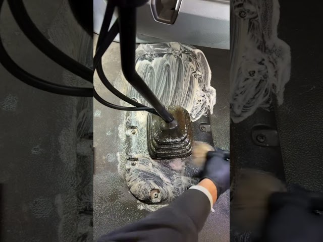 How many cars do you recognize in the video? #washingcar #cleaningcar #carcleaning