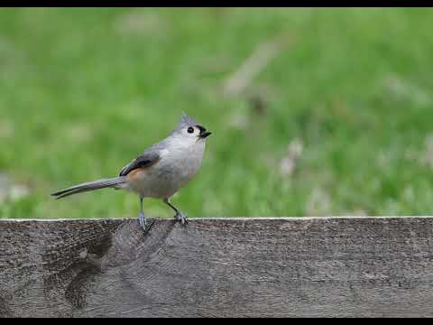 What Stays When Everything Else Fades? | Deep Stillness | The Only Thing Retrospective