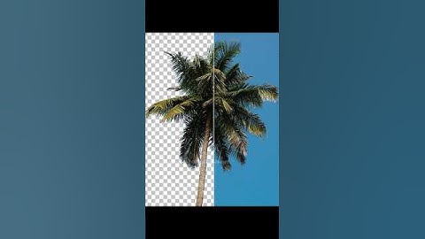 How to make Blue Sky Background In Adobe Photoshop 2025 #logo_academy