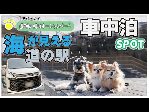 【房総鴨川の旅・車中泊編】絶景オーシャンビューで車中泊！どんぶり好きなら一度は食べておきたい！千葉・鴨川の「おらが丼」を堪能！【道の駅　鴨川オーシャンパーク】