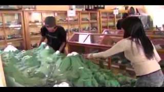 Las Carreras Universitarias del Futuro.flv