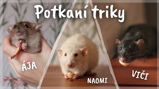 Potkaní triky  Naomi, Alicia, Viči