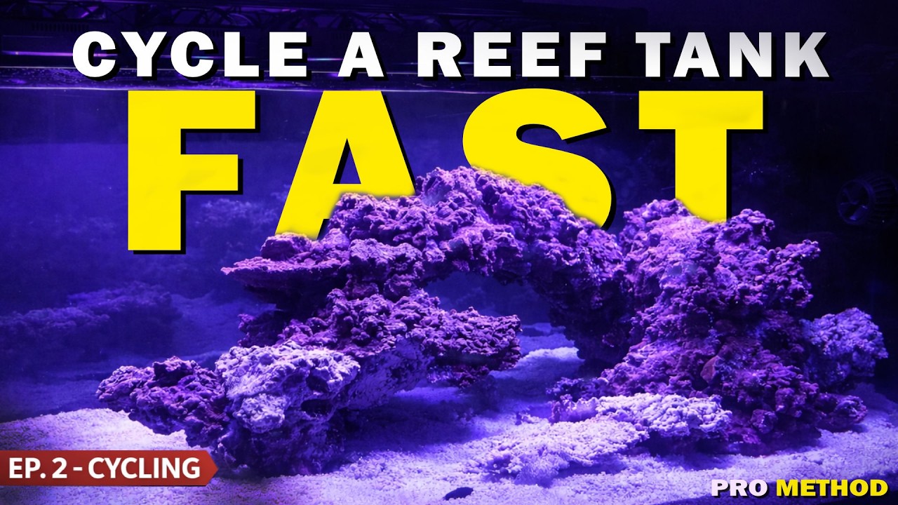 ReefDudes - Making Reefing Easy