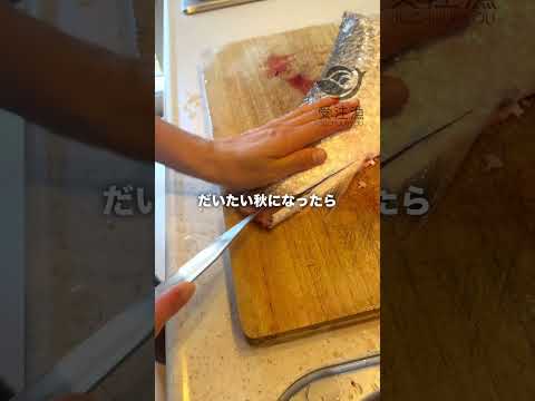 ボラの美味しい時期#shorts
