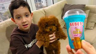 دي دي ميدو - لولو قناة وناسة