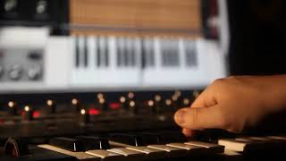 Minta Foundry Mellotron Expansion Pack 01