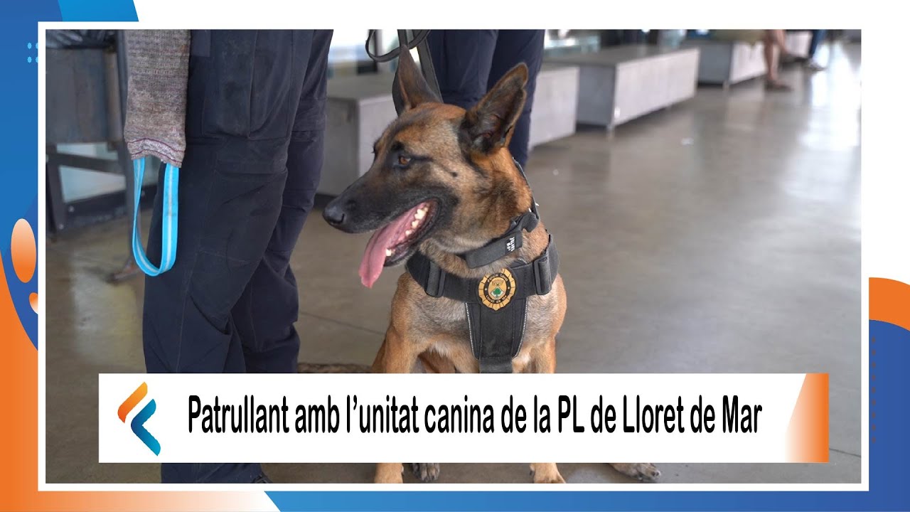 𝐏𝐚𝐭𝐫𝐮𝐥𝐥𝐚𝐧𝐭 𝐚𝐦𝐛 𝐥'𝐮𝐧𝐢𝐭𝐚𝐭 𝐜𝐚𝐧𝐢𝐧𝐚 𝐝𝐞 𝐥𝐚 𝐏𝐨𝐥𝐢𝐜í𝐚 𝐋𝐨𝐜𝐚𝐥 𝐝𝐞 𝐋𝐥𝐨𝐫𝐞𝐭 𝐝𝐞 𝐌𝐚𝐫. - 𝐅𝐢𝐭𝐞𝐥 𝐓𝐞𝐥𝐞𝐯𝐢𝐬𝐢ó𝐧.