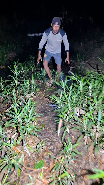 pria ini kaget karena ada penyu yang sangat besar