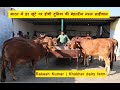 भारत में हर खूंटे पर होगी दुनिया की बेहतरीन नस्ल साहीवाल |Rakesh Kumar | Khokher dairy farm पार्ट-2