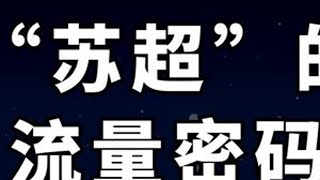 “苏超”爆火的底层逻辑：公共生活、市民狂欢与足球土壤 #足球⚽ #苏超 #苏超联赛