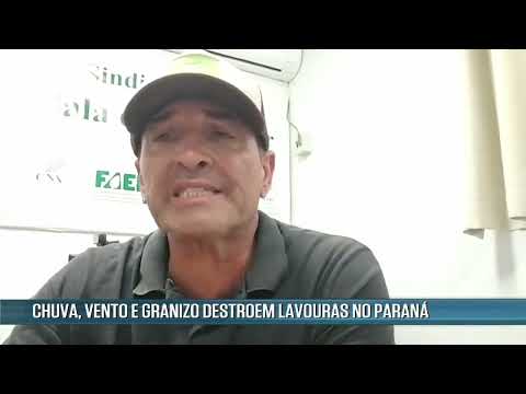 Tempestade que atingiu o Paraná deixa áreas rurais sem energia desde sexta (22) - RN - 25/04/2022