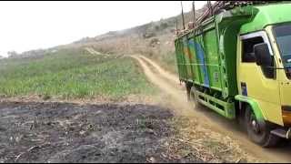 Mitsubishi Colt Diesel 120Ps Muatan Penuh Di Jalur Offroad