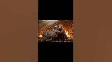 Capy dũng cảm xông vào đám cháy để cứu bà 👵 #capybara #haihuoc #giaitri #thinhhanh #xuhuong