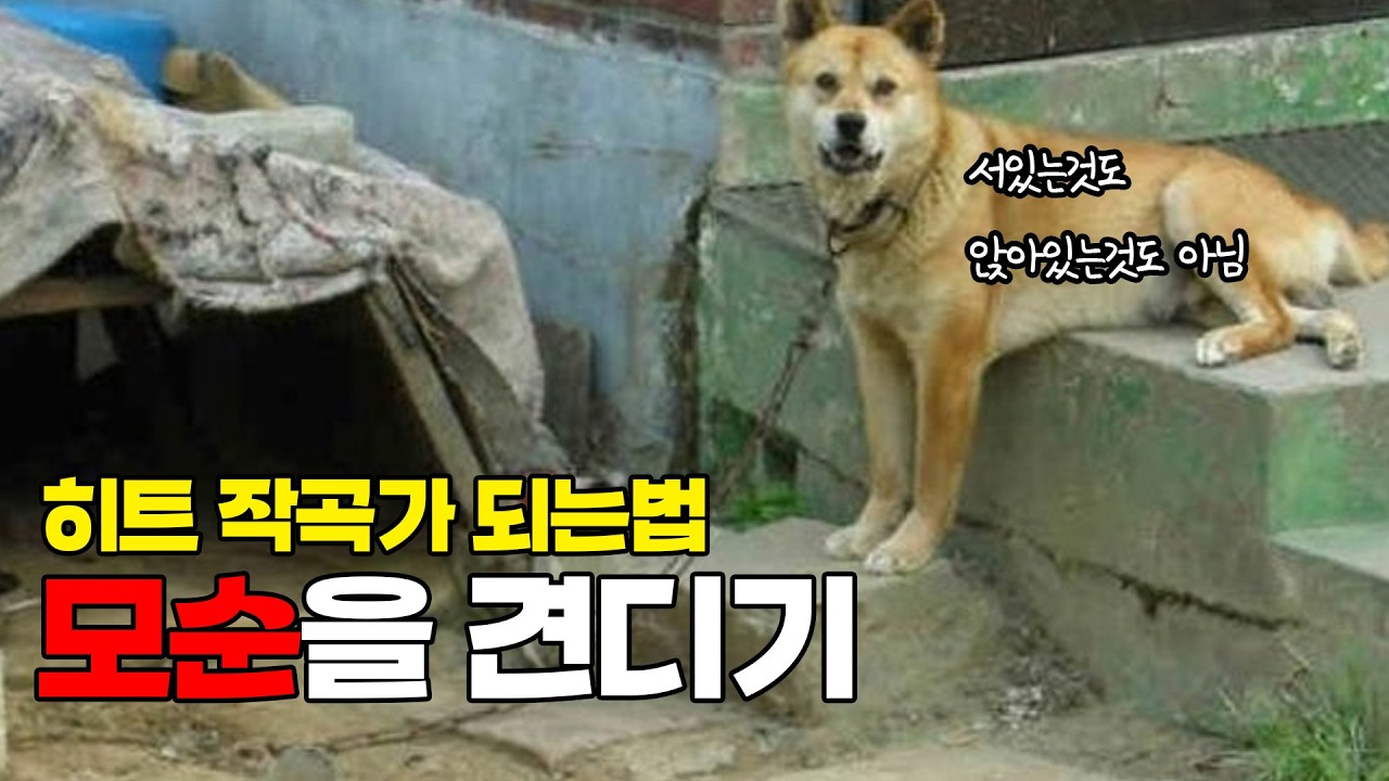 근자감과 객관화의 모순을 견디기
