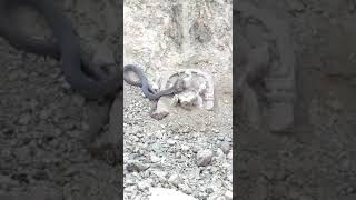 VID 20180713 WA0004