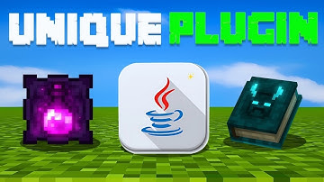 This 2 Custom SMP Plugin Will Change Your SMP!