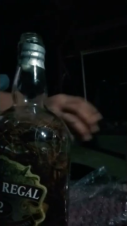 MINUMAN BERAKAR BIKIN MABUK KEBAYAN