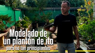 Modelado de un plantón de ito para no tan principiantes