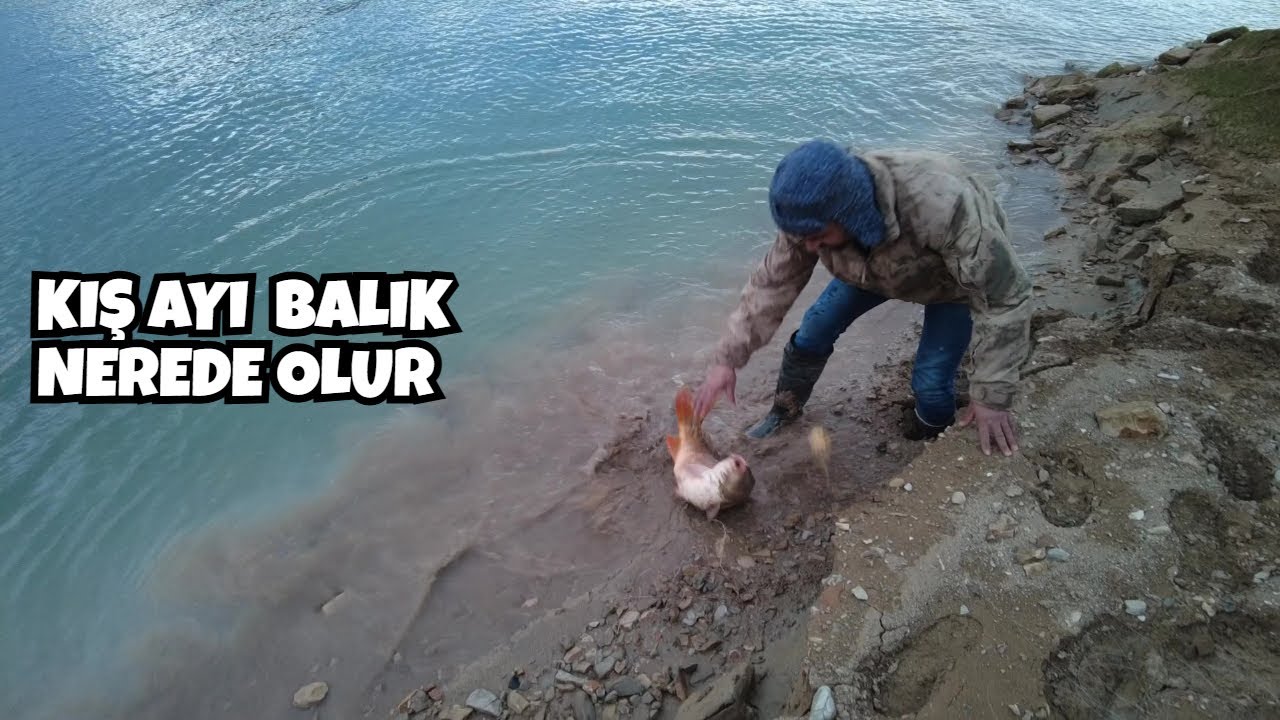 Balığın Yerini Bulduk!!! Kış ayında balık yakalamanın tek yolu balığın yerini bulmak #balık