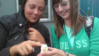 2 years of college.wmv