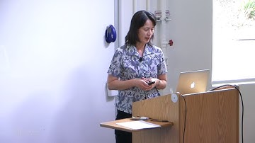 Matrix-free Construction of HSS Representations Using Adaptive Randomized Sampling