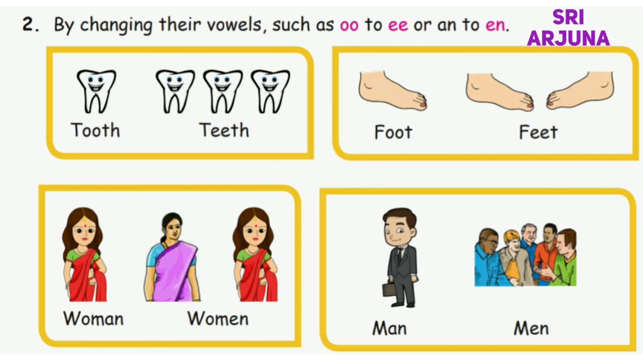 5th-standard-english-1st-term-lesson-2-question-answer-grammar