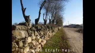 Fincanın Etrafı Yeşil - Tefik Tefik