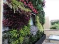 Jardineros en Bogotá-Colombia