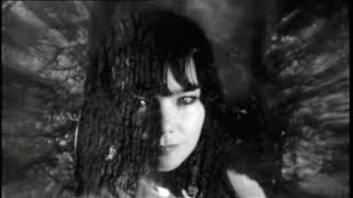 Inside Björk Documentary (Vietnamese subtitle)