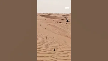 الحب ناره ما توق ف ولا يوم حارس الجبل 