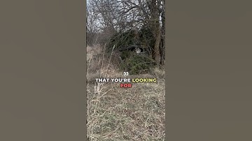 The Best Tip For Brushing In A Blind #hunting #deerhunting #tipsandtricks #whitetaildeer #bowhunting