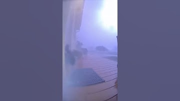 Two Cats Wait at the Door… Then the Storm Hits 😱🌪️