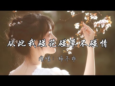 杨不乖 - 从此我碰花碰草不碰情『从此我碰花碰草不碰情 不再给谁伤我的权利。』『动态歌词MV』#新歌更新 #推荐 #必听热门歌曲