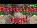 Медаль во всю грудь, полушка и трюндели! Копаю от 1-го лица