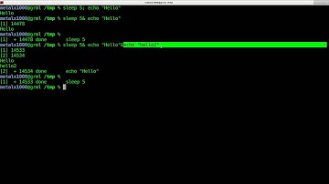 Putting Processes in the Background Part 2 Linux Shell Script Tutorial