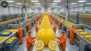 From Lemon Groves to Zesty Concentrate | Inside a Modern Lemon Plant (Full Process)
