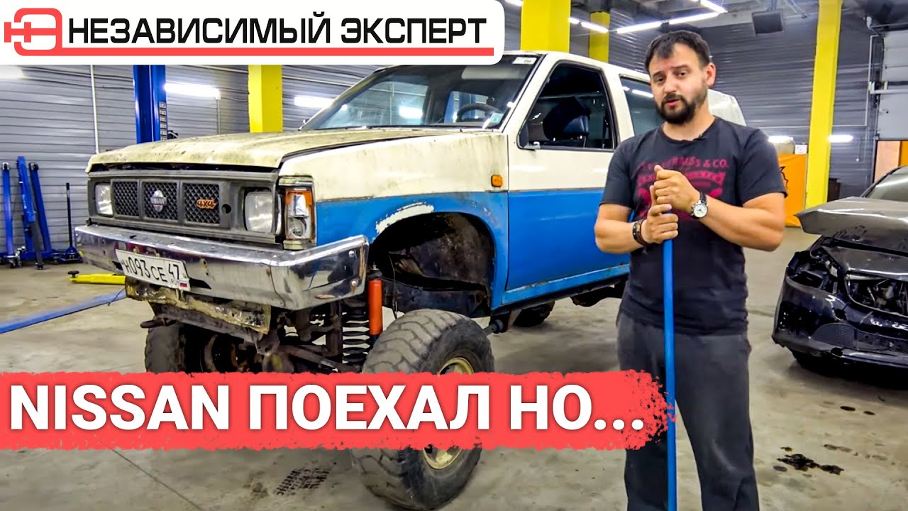 Независимый эксперт дзен