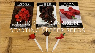 Starting Super Hot Pepper Seeds