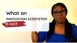 Innovation Ecosystem vs Accelerator, Hub, Cluster, Network