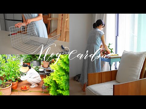 지금을 살아가는 유연한 자세 /나도 BTS 팬! /집안 정리/도심 속 텃밭 생활