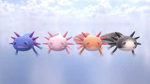 Axolotl The Little Monster - 3D model ready for game use - Animations