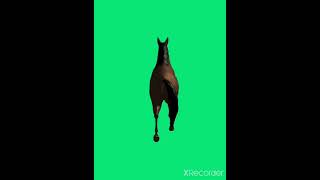 Running Horse Green Screen Animation